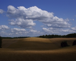 0020 Grądy Kruklaneckie