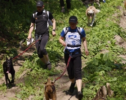 0003 Dogtrekking w Górach Klewińskich