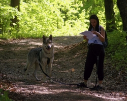 0004 Dogtrekking w Górach Klewińskich